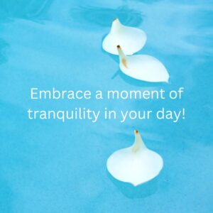 Tranquility with bell activity is a mindfulness practice.